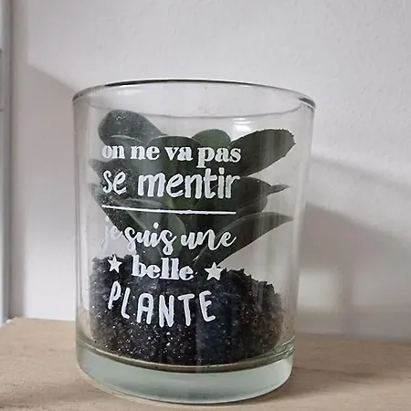 Cocon Sous Les Toits By Unsejouranancy Fr Apartment Nancy