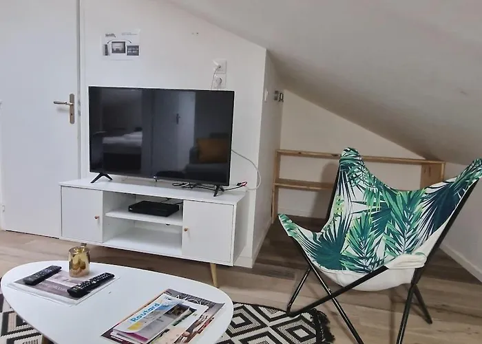 Cocon Sous Les Toits By Unsejouranancy Fr Appartement