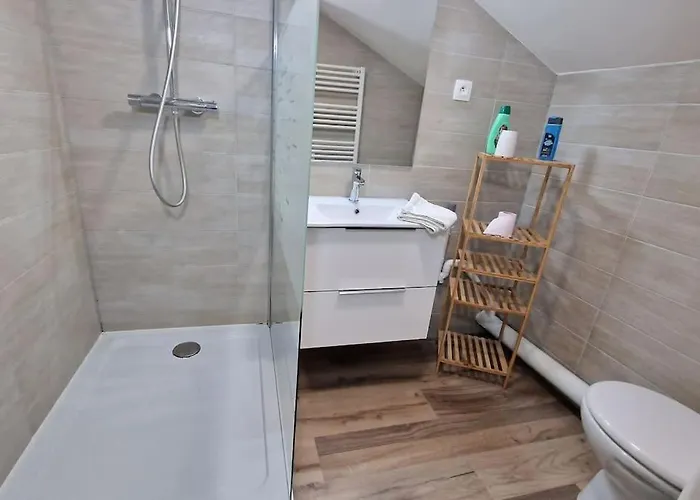 Appartement Cocon Sous Les Toits By Unsejouranancy Fr *