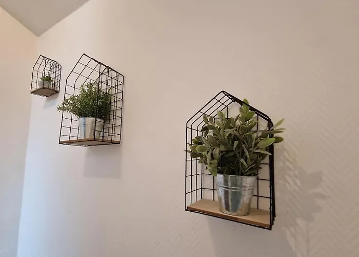 Appartement Cocon Sous Les Toits By Unsejouranancy Fr